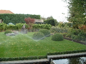 ornamental3